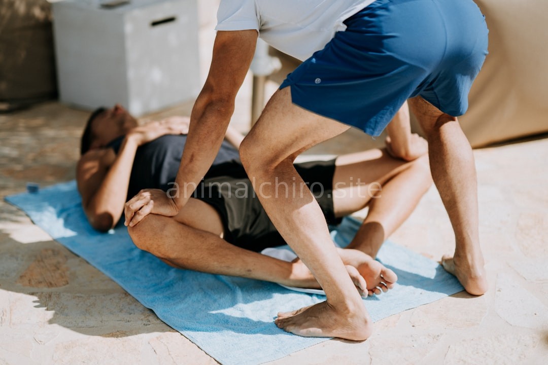Chiropractic Care