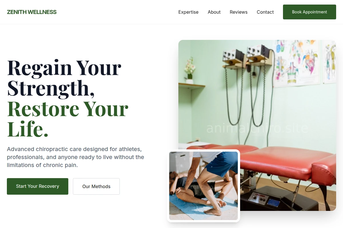 Strength Chiropractor