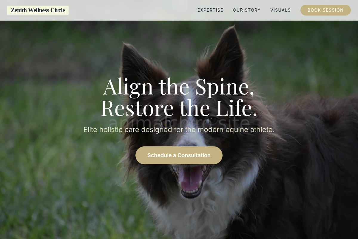 Horse Pet Services