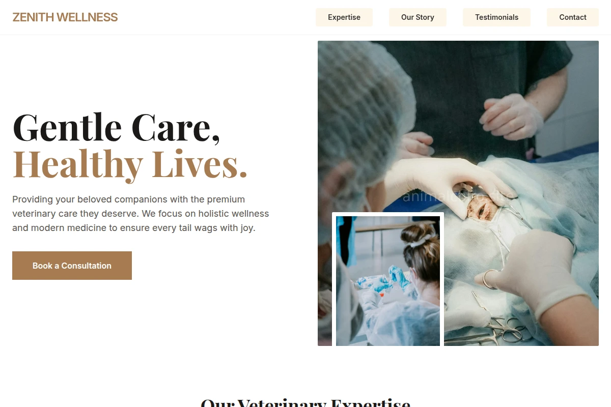 Support Veterinary