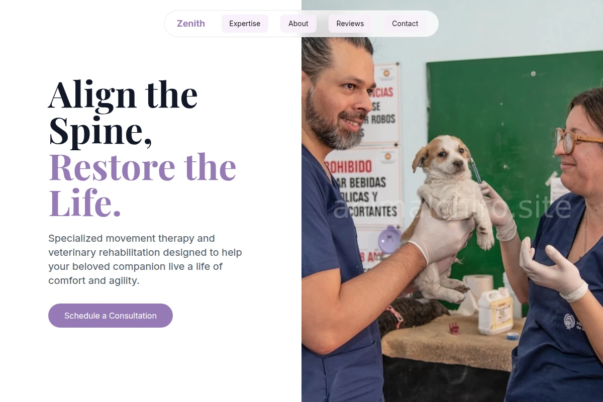 Movement Veterinary