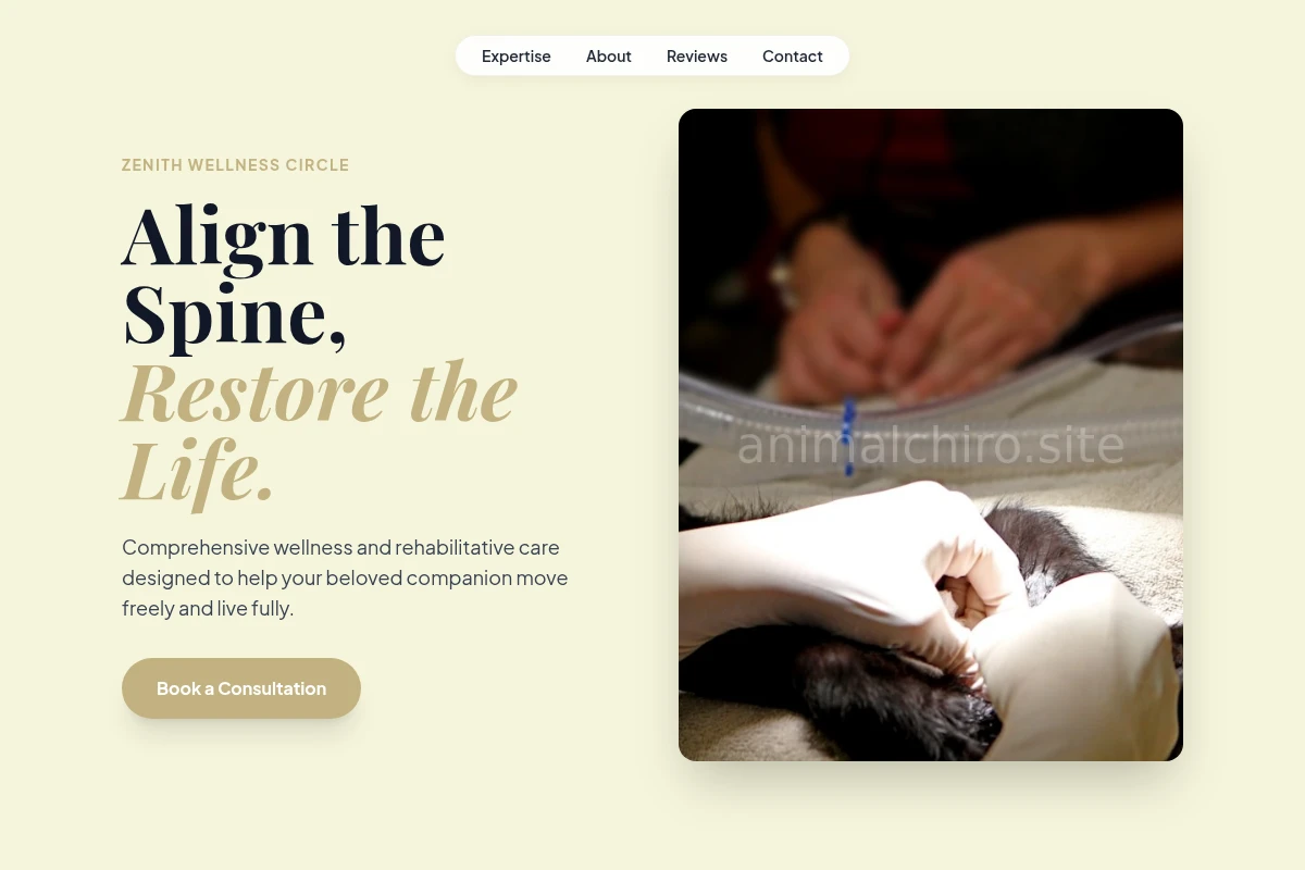 Animal Veterinary