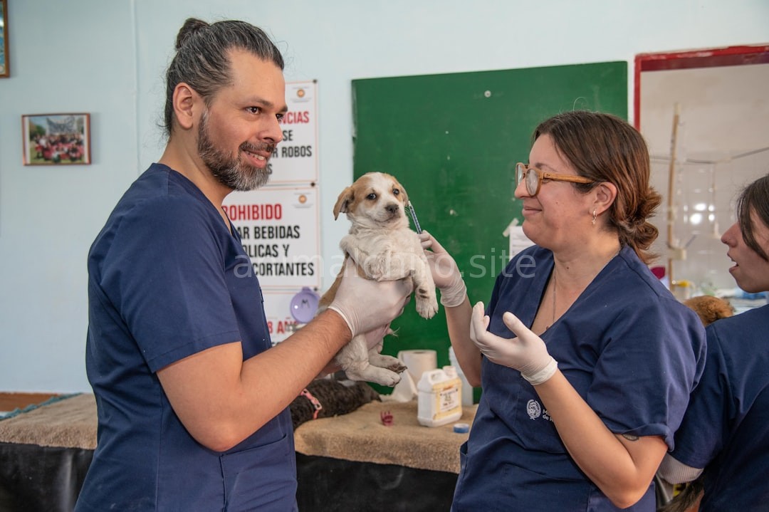Veterinary Hero
