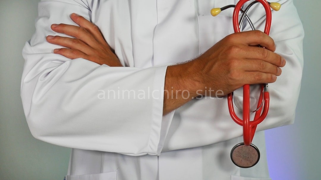 Clinic 3